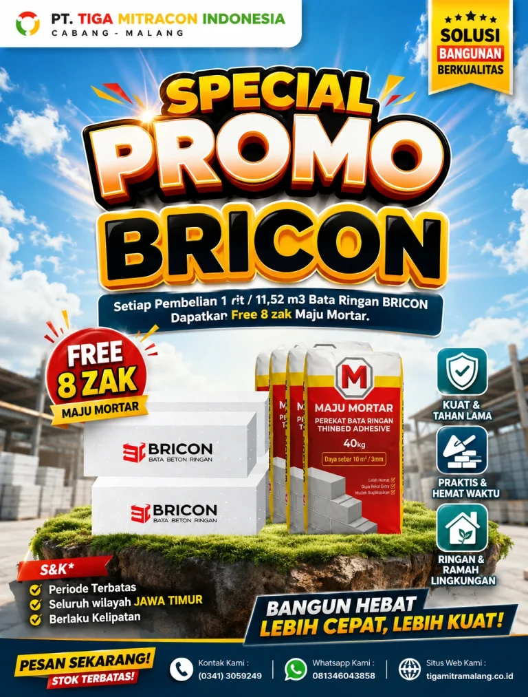BRICON (1)